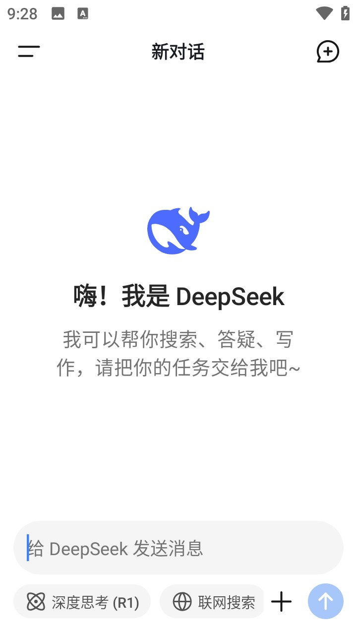 deepseekѪv1.2.3 °
