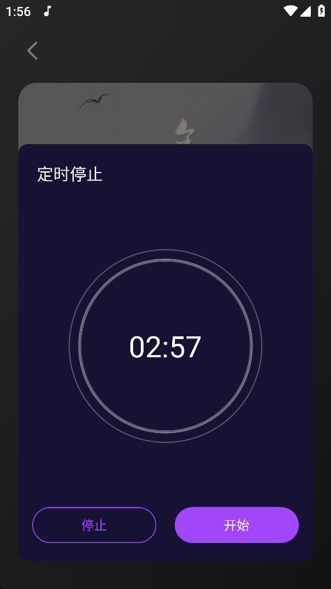 flyplusֻ