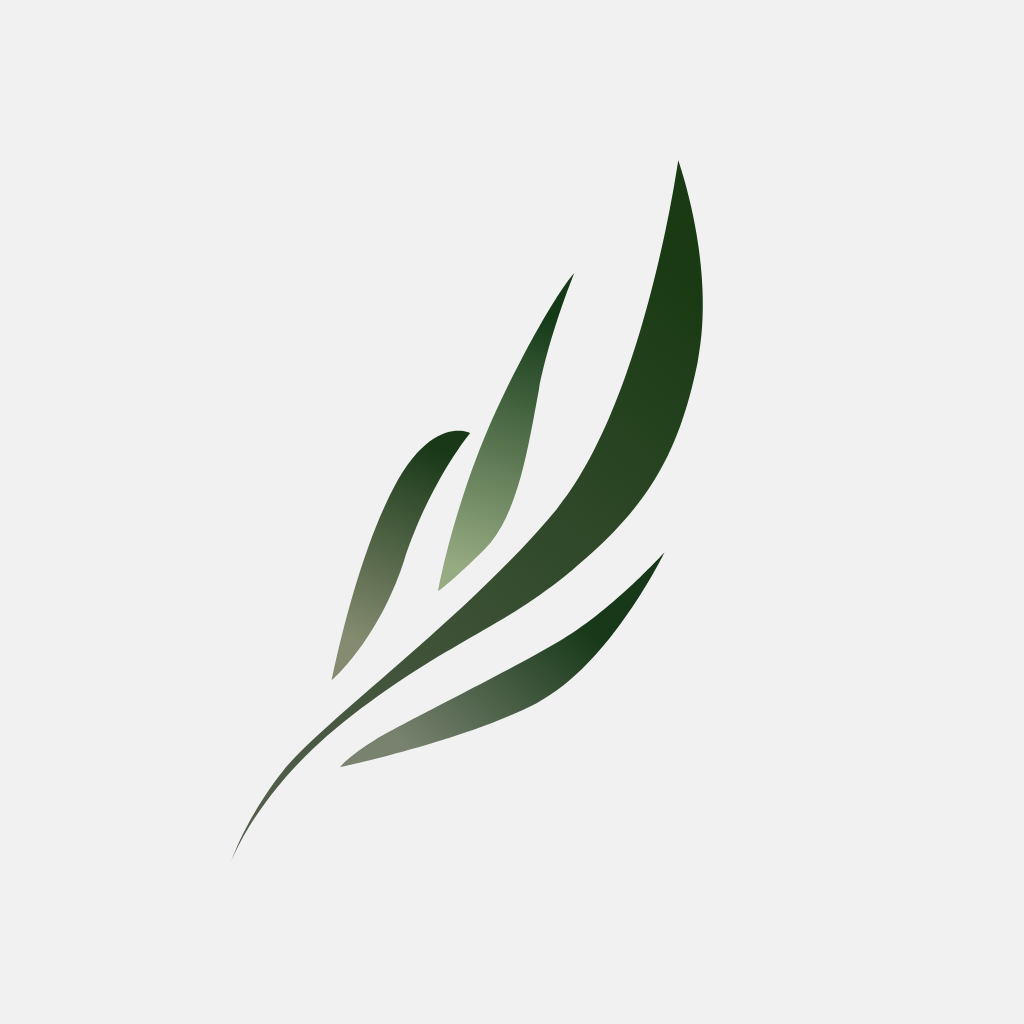 С˵ٷv1.6.0 °