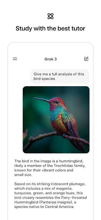Grok4İٷذװv1.0.7 İ