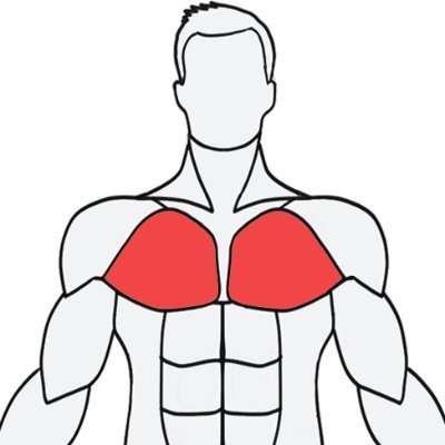 musclewikiٷv1.0 ׿