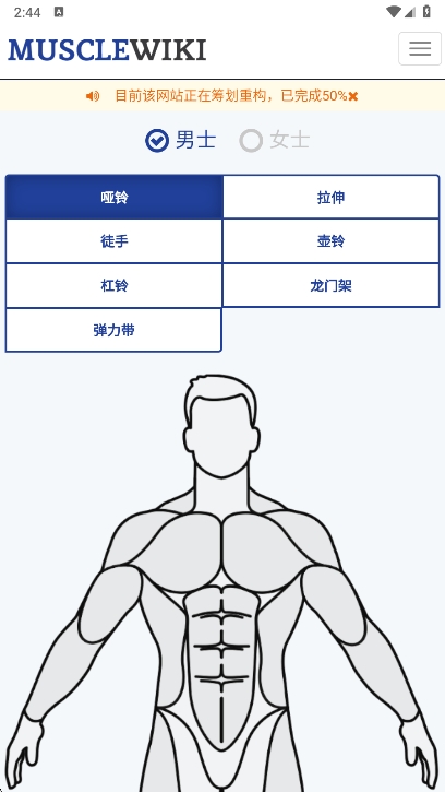 musclewikiٷv1.0 ׿