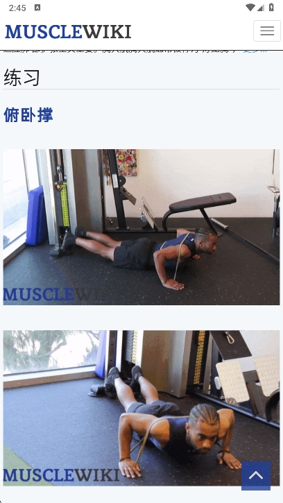 musclewikiٷv1.0 ׿