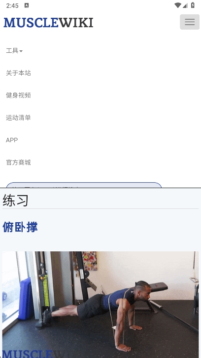 musclewikiٷv1.0 ׿
