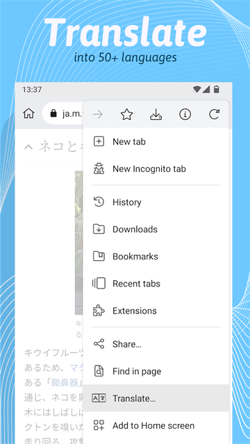 kiwiֻ(Kiwi Browser)v139.0.7339.0 ׿