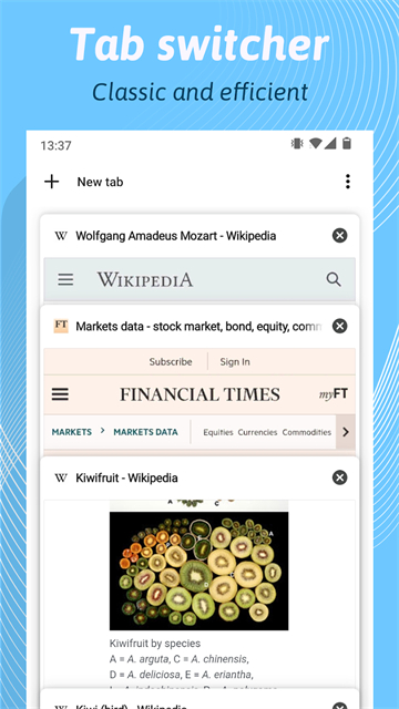 kiwiֻ(Kiwi Browser)v139.0.7339.0 ׿
