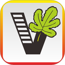 Ҫѧapp°汾v1.11.2 ׿