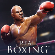 ʵȭϷֻ(Real Boxing)v2.11.0 ׿