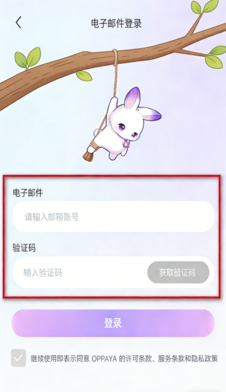 OPPAYA������ذ�װ