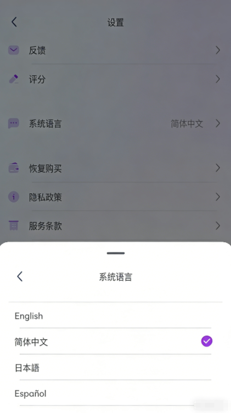 OPPAYA������ذ�װ