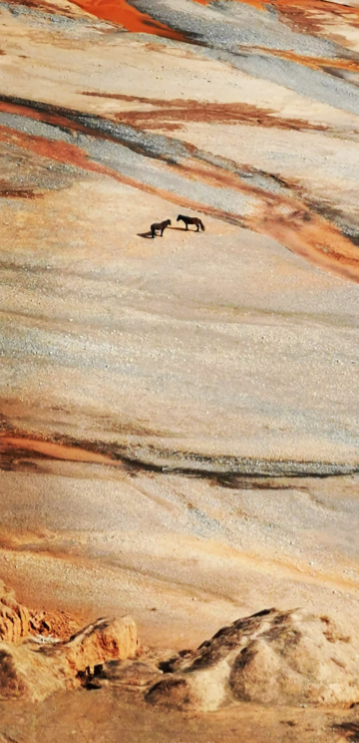 ��ҫ��־������װ����������v13.1.11.300 �ֻ���