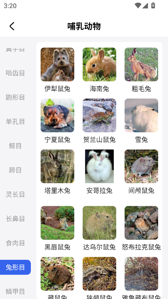 ���������ֻ�������v1.1.3 ��׿��