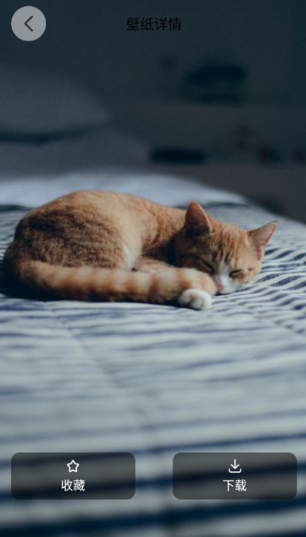 ��è�ɶԱ�ֽ�ٷ������ֻ���v1.2 ��׿��