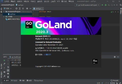 JetBrains GoLand Go���Լ��ɿ����������԰����ذ�װ