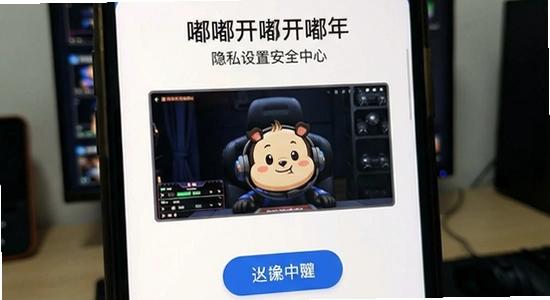 �ཿ�����˽�����밲ȫ���Ľ���