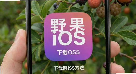 Ұ��iOS�����ذ�װ����