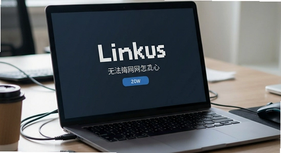 Linkus安装后无法联网怎么办