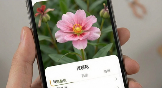 ���ڻ�Ӧ�ý���չʾͼ 670x360