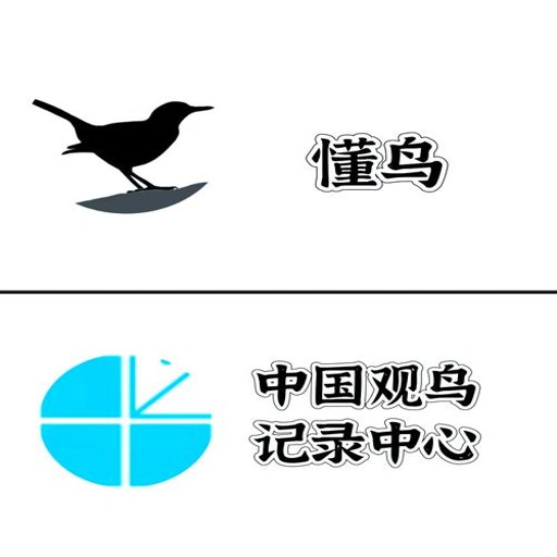 ����ٷ�������v1.6.0 ʶ������
