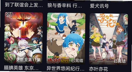次元动漫app 版本信息 校验界面 手机截图 清晰