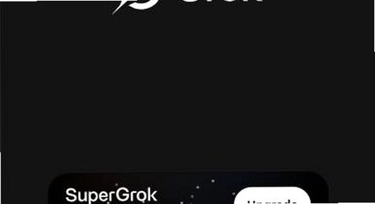 grok手机版版本信息界面,无水印截图