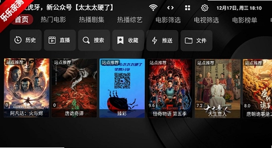 TV Box Pro电视版 安装包 U盘安装 电视盒子