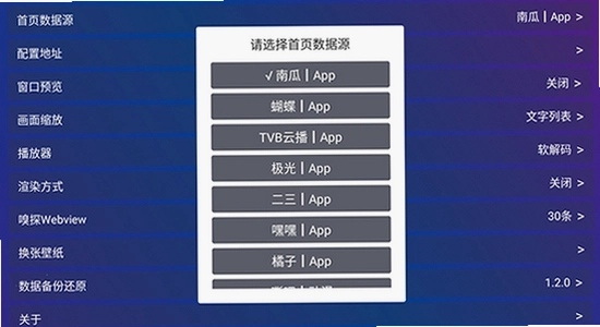 TV Box Pro电视版 设置界面 权限管理 电视