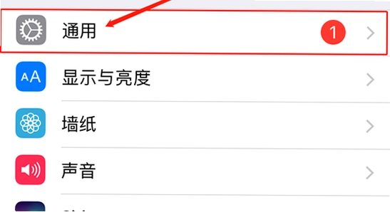 苹果手机信任企业级开发者设置界面,描述文件与设备管理页面