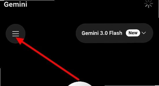 gemini3.0安卓安装包,手机安全检测界面,绿色安全图标