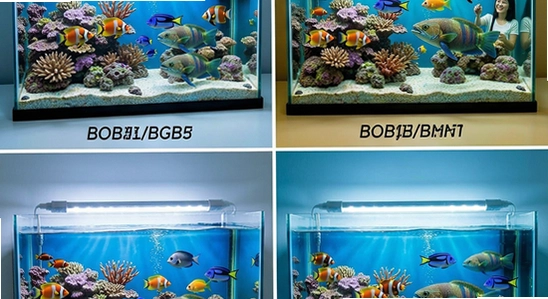 ����ˮ��ೡ��ʹ��չʾ670x360