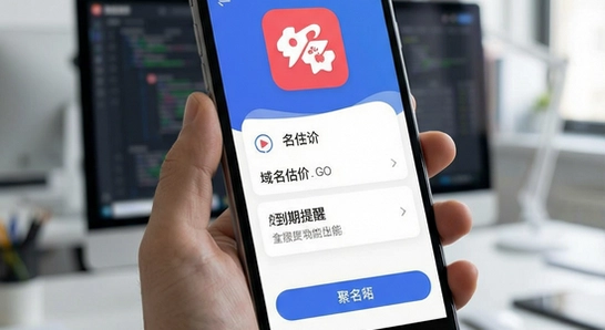 聚名app域名估价与到期提醒功能界面