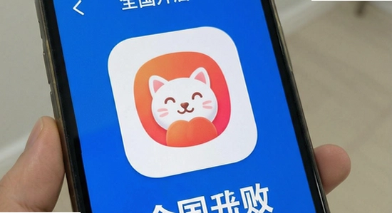 ȫ������app��װʧ�ܽ������