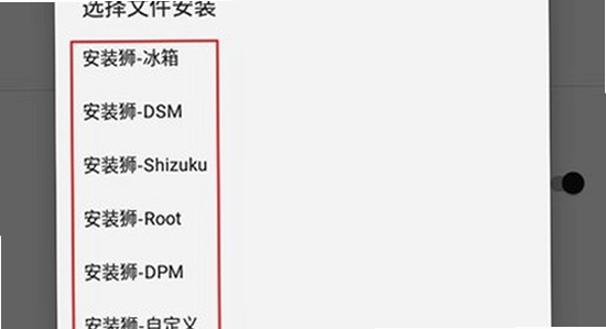 安装狮app 官方正版 下载页面 安全标识