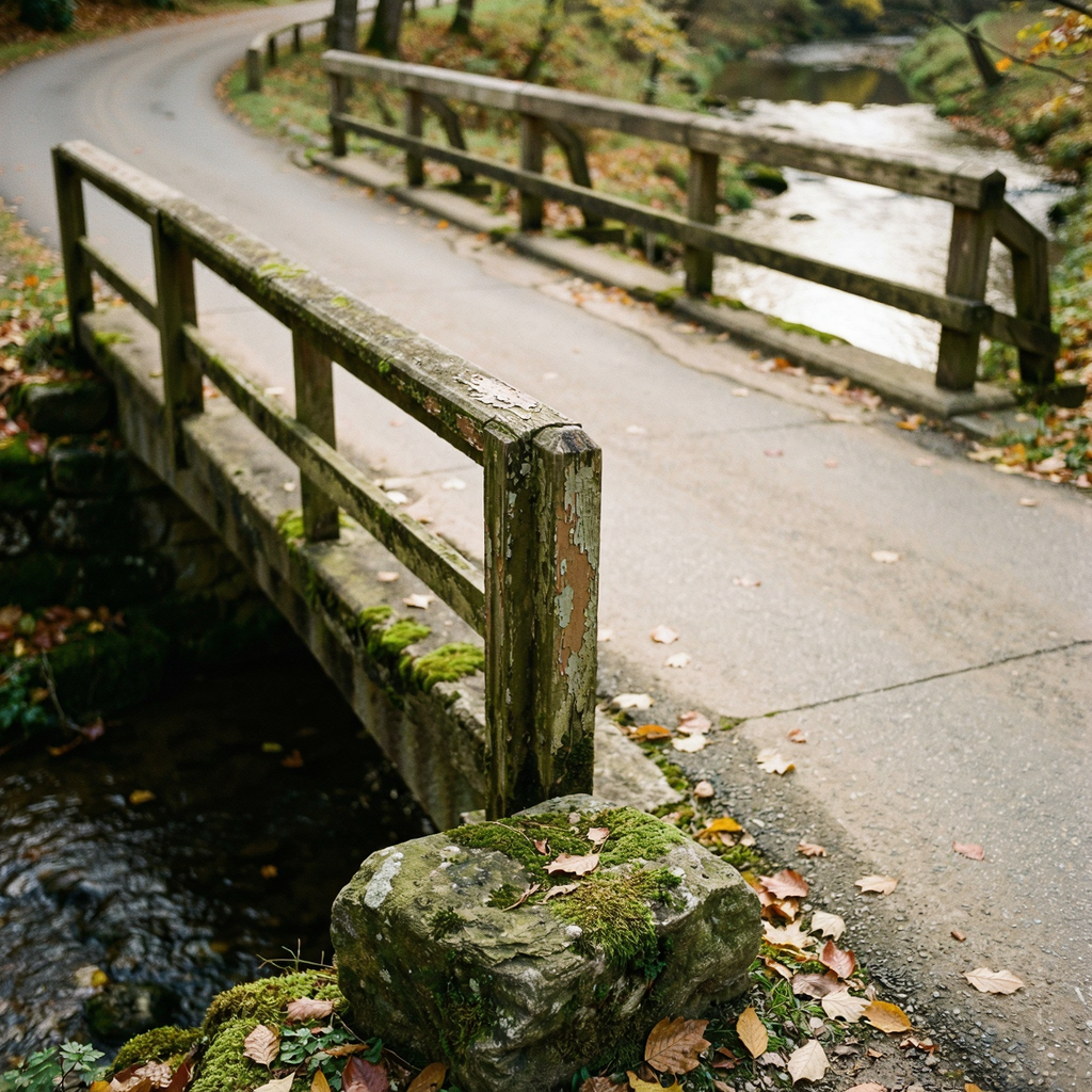 ����·(Rural Roads)�ٷ�����v1.5 ģ���ʻ