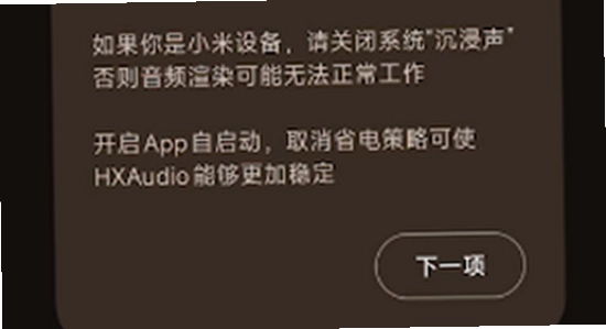 HXAudio调音app 安装权限设置界面 手机截图