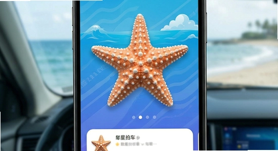 �����ĳ�Ӧ��������չʾ