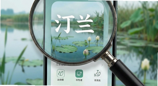 ͡���Ŵ�Ӧ��������չʾ