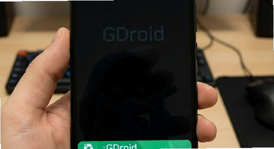 GDroid安装后黑屏闪退怎么办