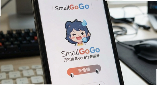 SmallGoGo��װʧ����ô��