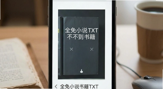ȫ��С˵TXTɨ�費�������鼮
