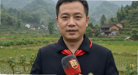 ������������֪ͨ�޷����ս���취