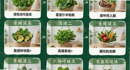 ��Ҷ���ʳ�ೡ��Ӧ������Ⱥ����ͼ