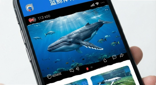 ��������app�������������ֱ��չʾͼ670x360