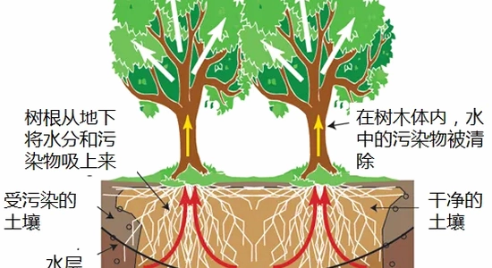 ��������ƽ̨����app��װ����,ɫ�ʷḻ ��ˮӡ ����ͼ