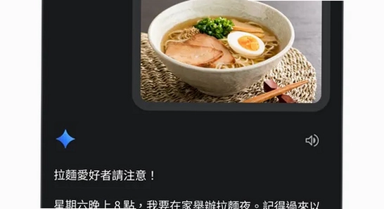 谷歌Gemini下载安卓版 网络设置 手机屏幕截图