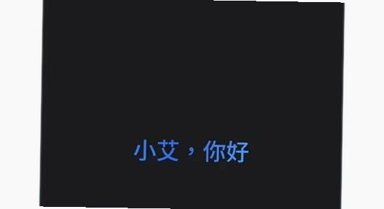 谷歌Gemini下载安卓版 权限设置 应用管理界面