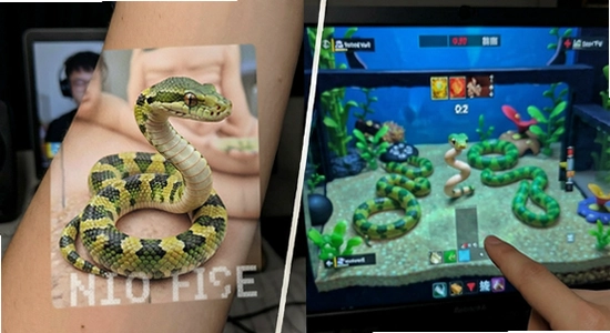 ���߳Բ�ͣƤ��չʾ��Ծֳ���
