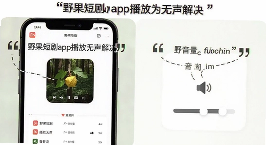生成野果短剧app常见问题解决场景图,尺寸500*300,关键词包含“野果短剧app播放无声解决”,展示手机播放界面与音量调节示意,画面文字用双引号标注