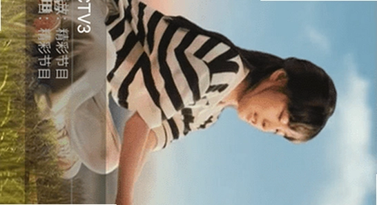 凤凰影院tv版下载安装界面,电视盒子软件安装画面,色彩丰富无水印