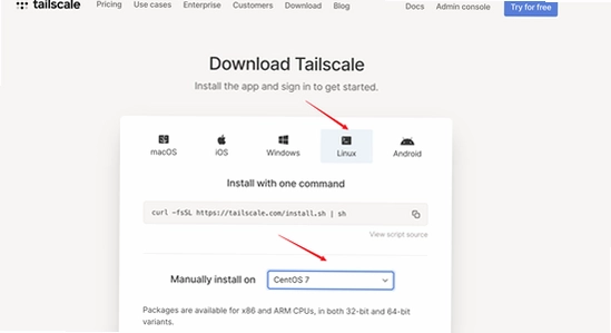 Tailscale�ٷ������� ��װ���� �ɾ������� ʾ��ͼ